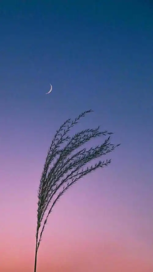 小清新个性唯美意境写真