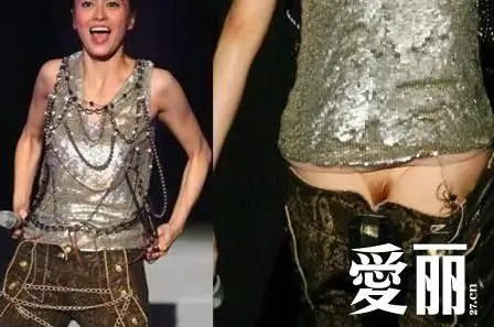 袁莉林心如河智苑 露丁字裤的女星(图)