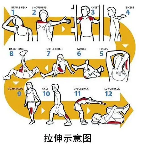 肩部肌群的放松与拉伸