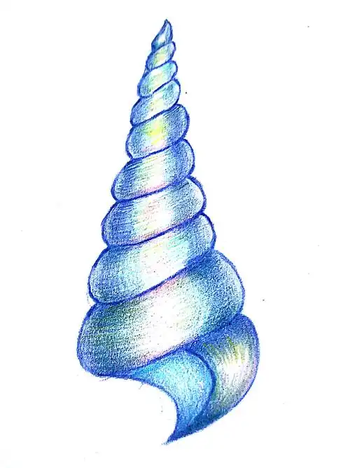 小清新蓝色贝壳彩铅画