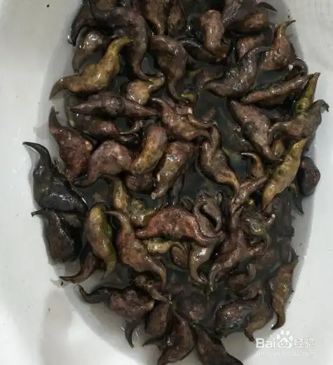 新鲜菱角怎么吃