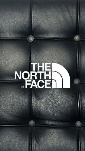 今日份壁纸thenorthface58