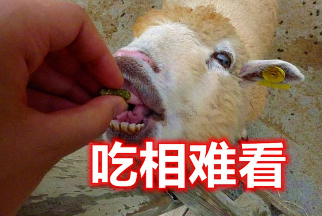 王者荣耀官方服软了关菲菲不再嚣张百万玩家的怒骂起作用了