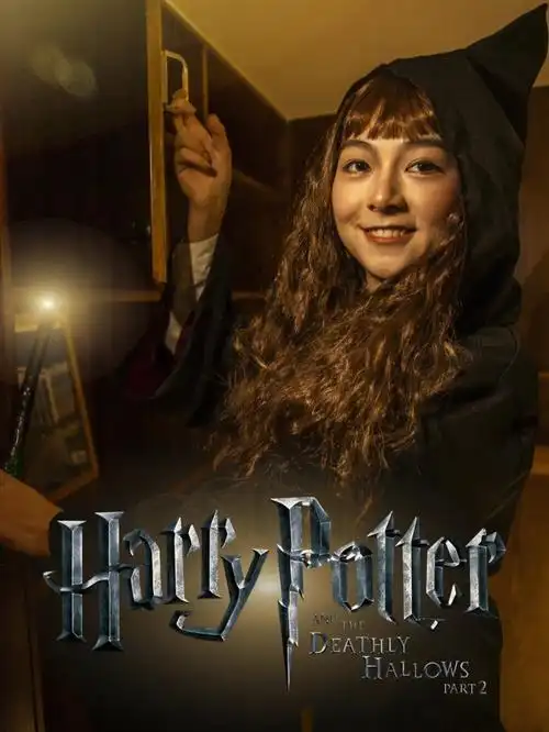 哈利波特骑着扫把飞