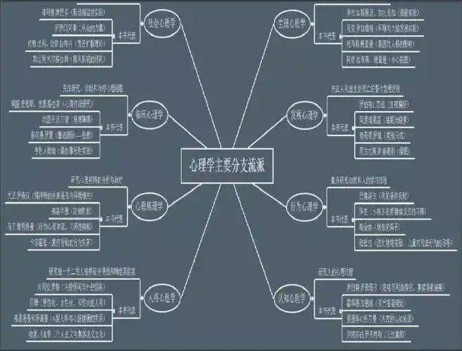 有实验心理学,认知心理学,认知神经科学,生理心理学等数十个分支