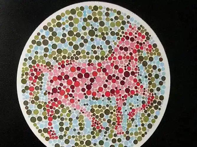 驾照体检最常见的4张色盲测试图,你能分辨出几张?