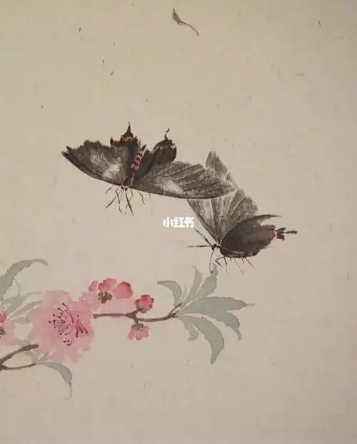 临摹齐白石蝴蝶