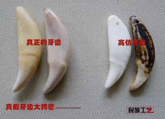 最原始的藏区狗牙仿狼牙项链 男士吊坠 护身符 大小不同规格獒牙