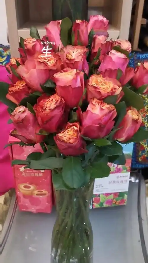 牙买加玫瑰,我好喜欢哦!