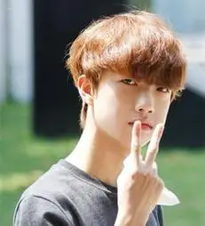 暖棕色文艺桃心发型男 - 搜狗图片搜索