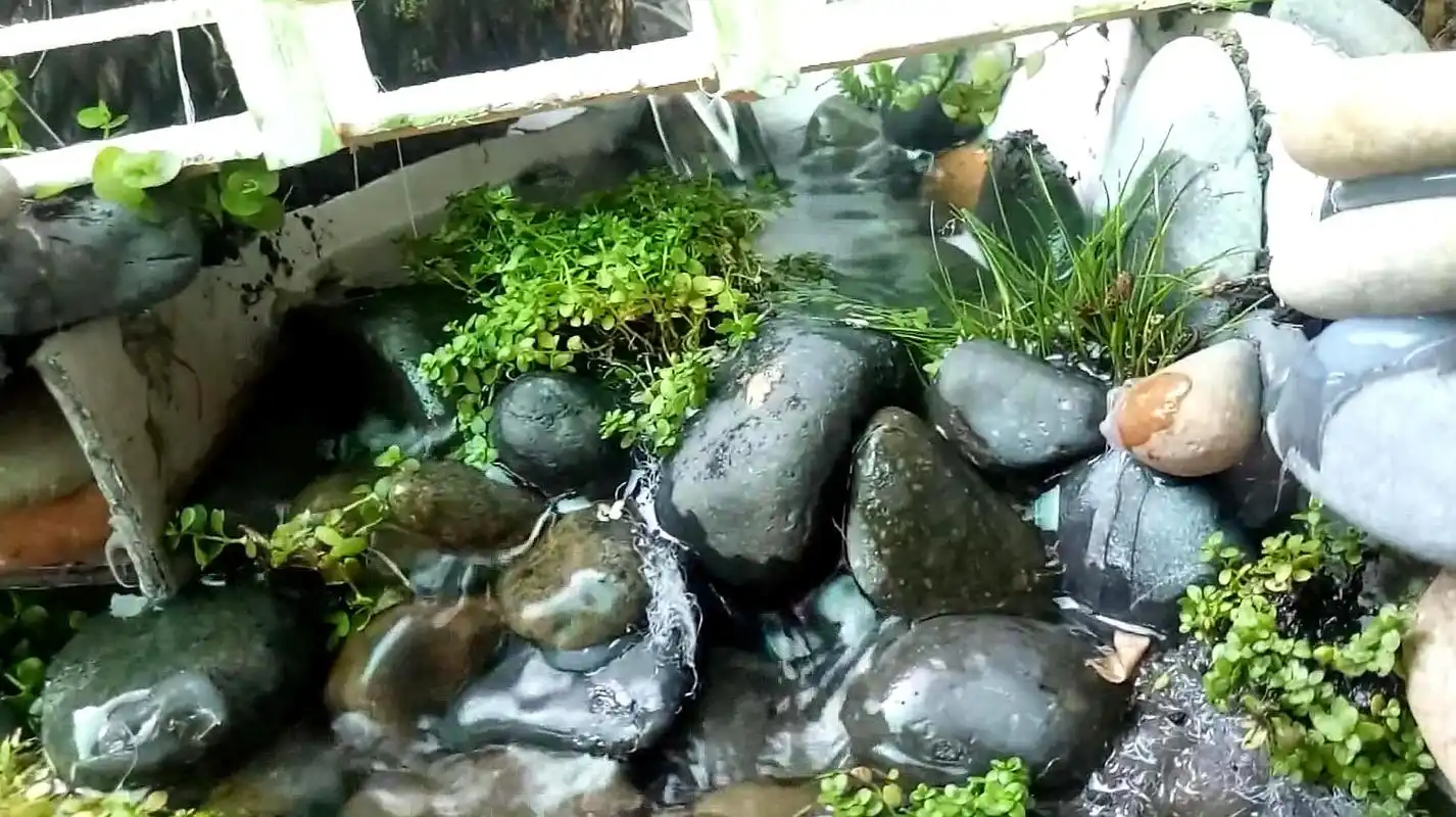 用石头建造的小型溪流鱼池,一看就知道主人是设计师