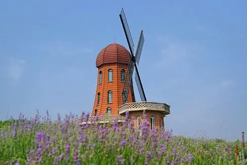 紫色梦幻一圣瓦伦丁庄园