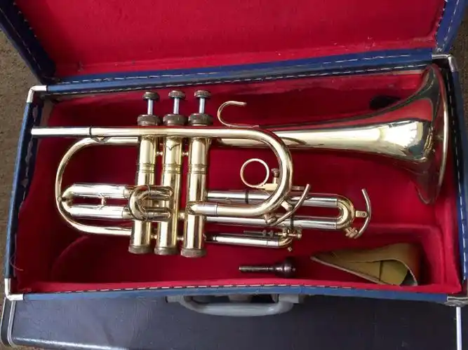 西洋vintage乐器萨克斯风小号低音吉它