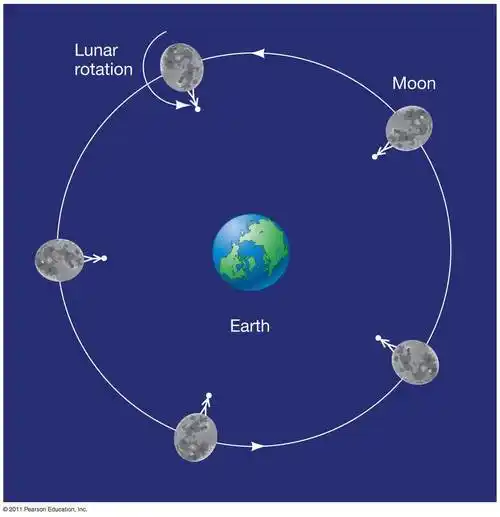 回答:这不是巧合,月球的轨道周期和它自转周期之间的同步是由于潮汐