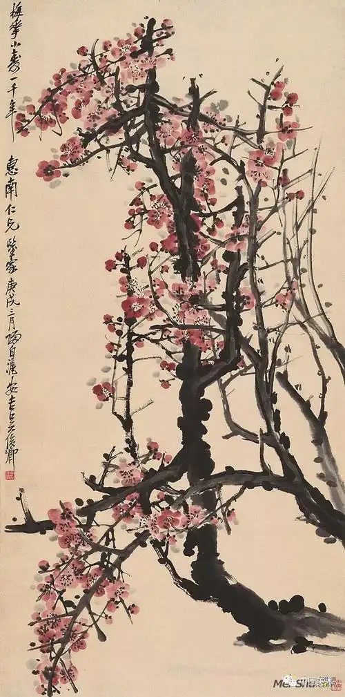 吴昌硕 梅花