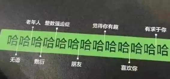 "没有表情包我就不会聊天了.