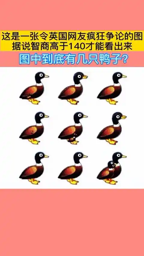眼力测试:图中你看到几只鸭子?智商高于140才能看出来!