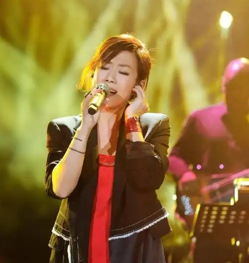 歌手林忆莲的个人资料