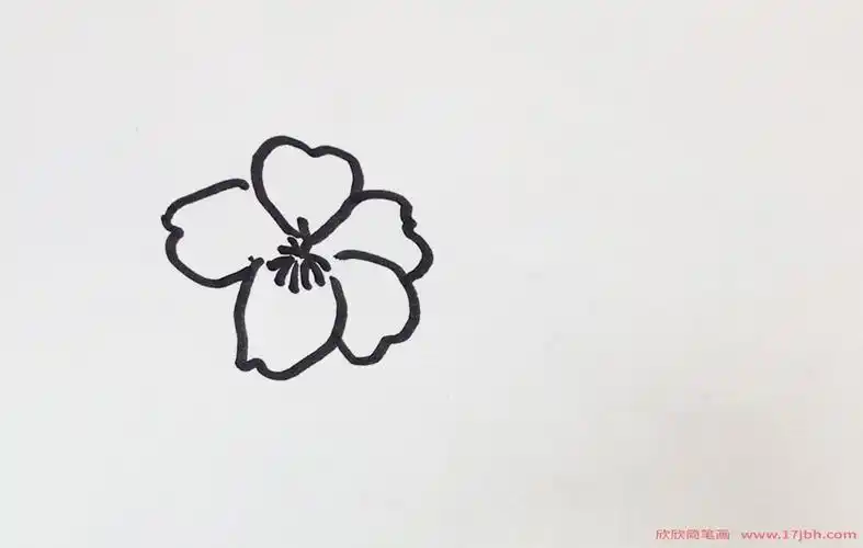 樱花简笔画图片樱花怎么画教程
