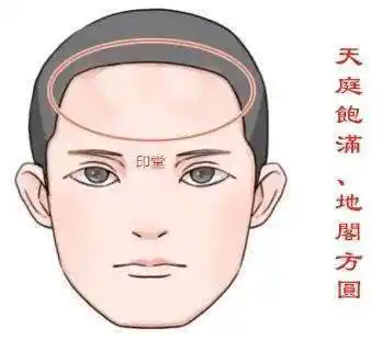 俗话认为天庭饱满地阁方圆是福相老祖宗识人术准不准