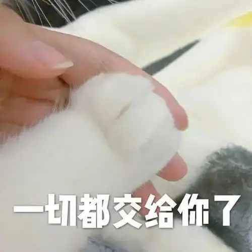 一切都交给你了_表情