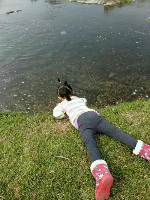 我们儿时玩乐的小河,骑午,放鸭子,抓虾,钓鱼,光着屁股在河里游泳一条