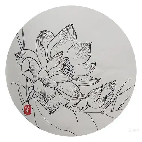 白描荷花