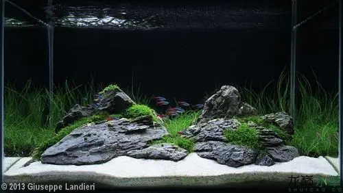 经典的青龙石造景合集