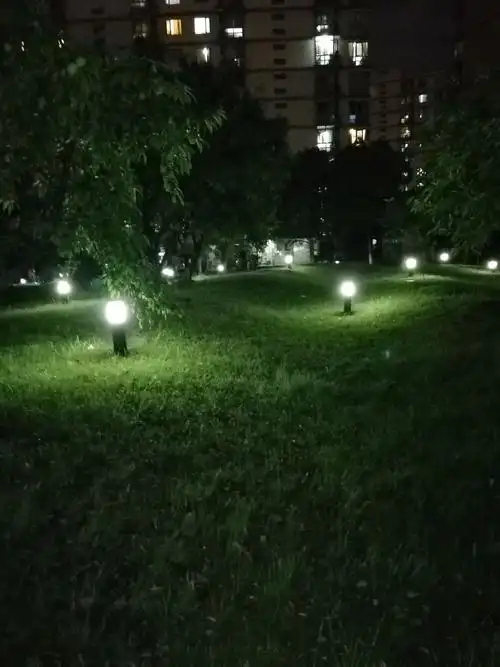 草坪夜色