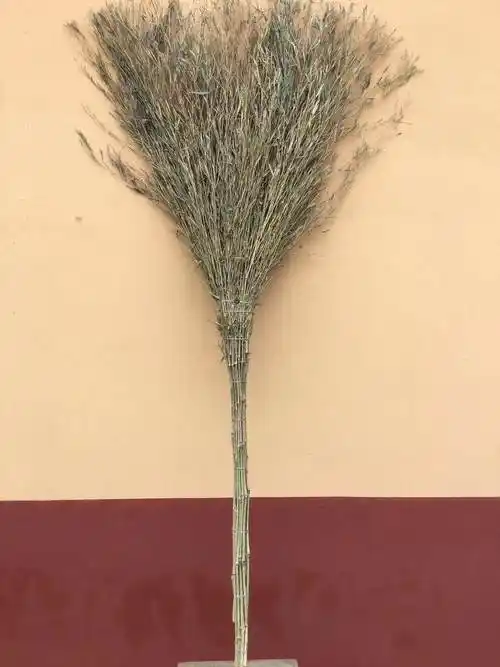 [河北廊坊市固安县]食品厂扫把5105轻型软毛扫帚多种类选择符合食品