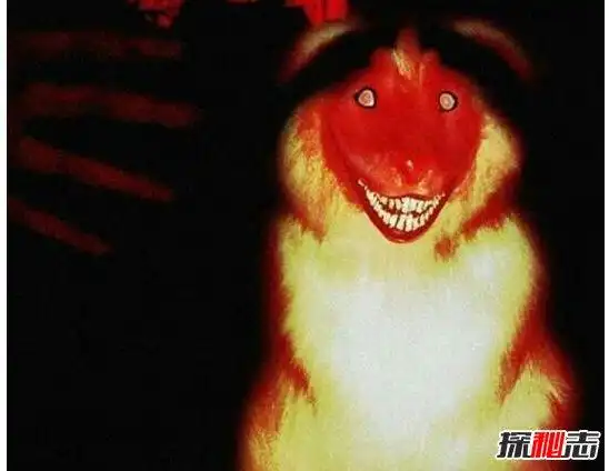 世界上最灵异恐怖照片吓死20万人超惊悚恐怖心脏病慎点动图