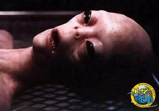 保加利亚科学家称外星人已抵达地球-柏秀冬百货商行-未解之谜-世界