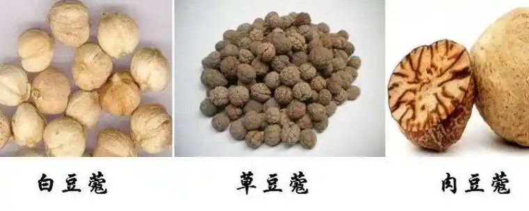 草豆蔻与肉豆蔻的区别