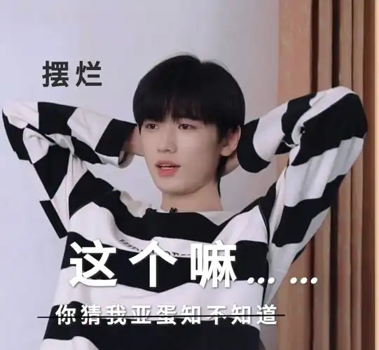 时代少年团表情包