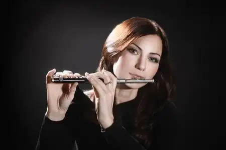 长笛短笛长笛演奏长笛乐器照片