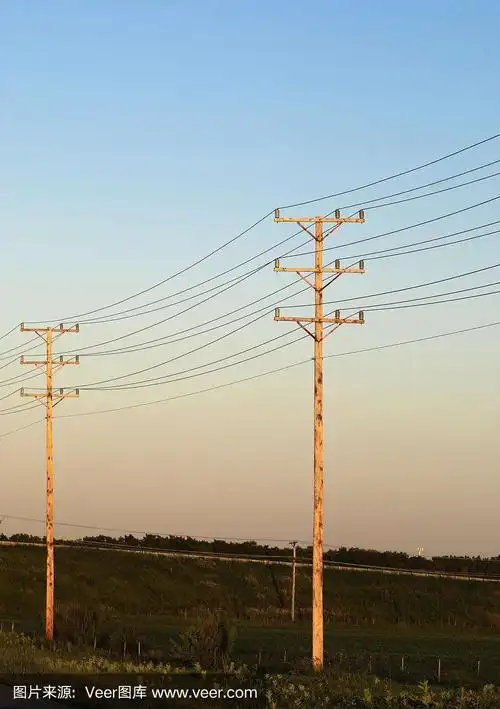 农村用木头做的电线杆