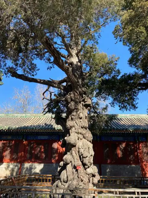 北京孔庙,国子监,科举制度.