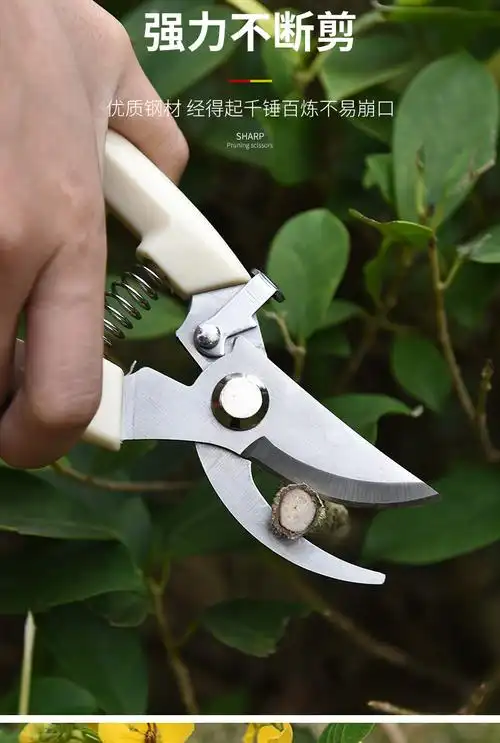免磨修剪树枝剪刀树枝剪园艺剪修枝剪果枝剪果树修花剪刀园林工具