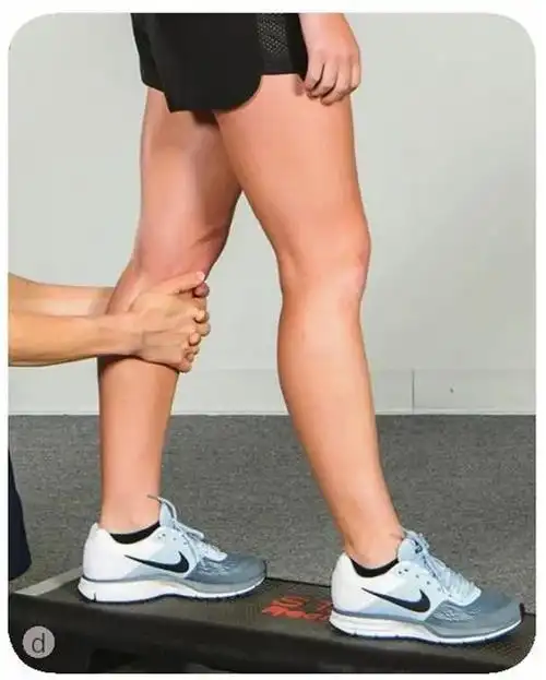 肌肉|过伸|绳肌_网易订阅