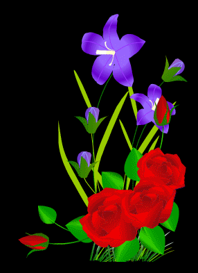 【转载】动态花卉gif《花开瞬间》