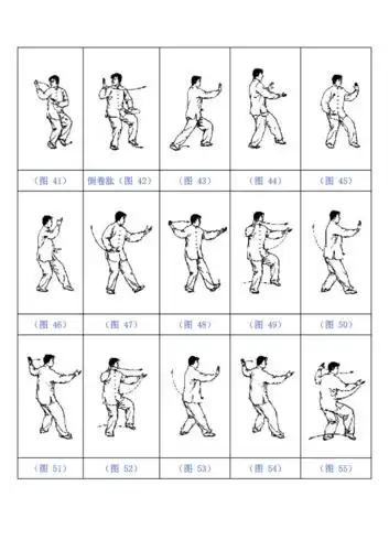 24式简化太极拳图解doc