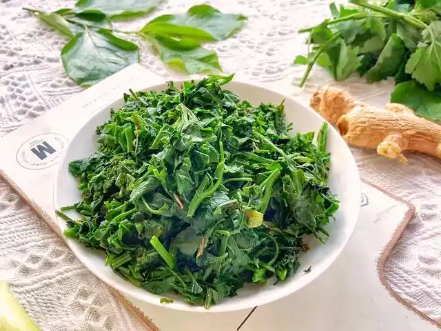 农村被当作野菜的灰灰菜,月亮教你两种吃法,鲜嫩营养做法简单