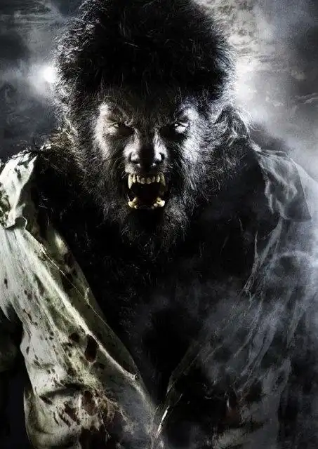 狼人剧照_电影剧照_图集_电影网_1905.com