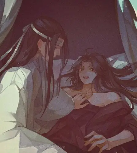 魏无羡怀孕了蓝忘机你竟敢推我