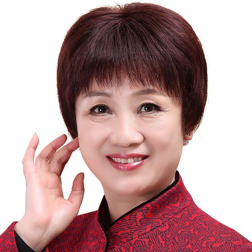 假发dc24小时发货发套女全头逼真自然中老年短发日常整顶假发