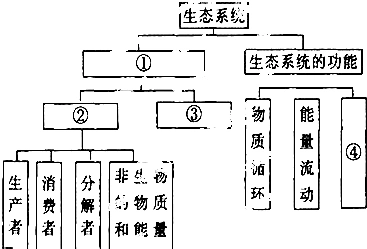 请完成如图所示生态系统结构和功能的概念图