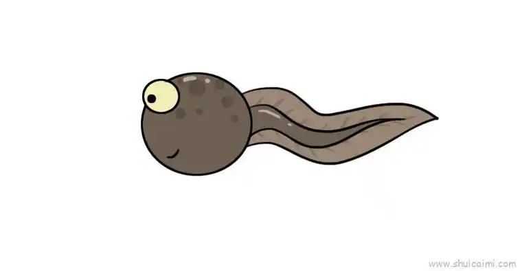 蝌蚪儿童画怎么画 蝌蚪简笔画画法