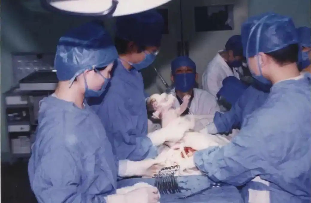 70年变迁老照片省妇幼保健院以妇幼健康为使命