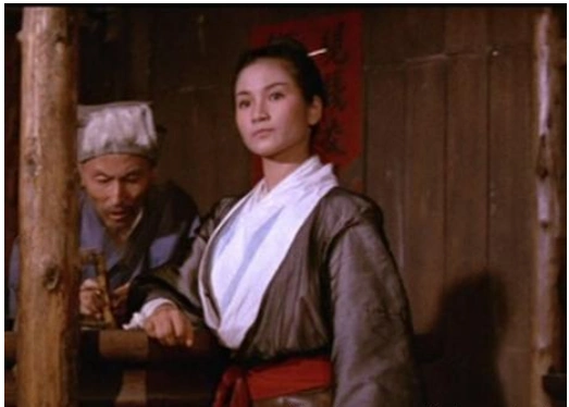 出演卧虎藏龙中碧眼狐狸一角获得香港电影金像奖最佳女配角奖,并角逐