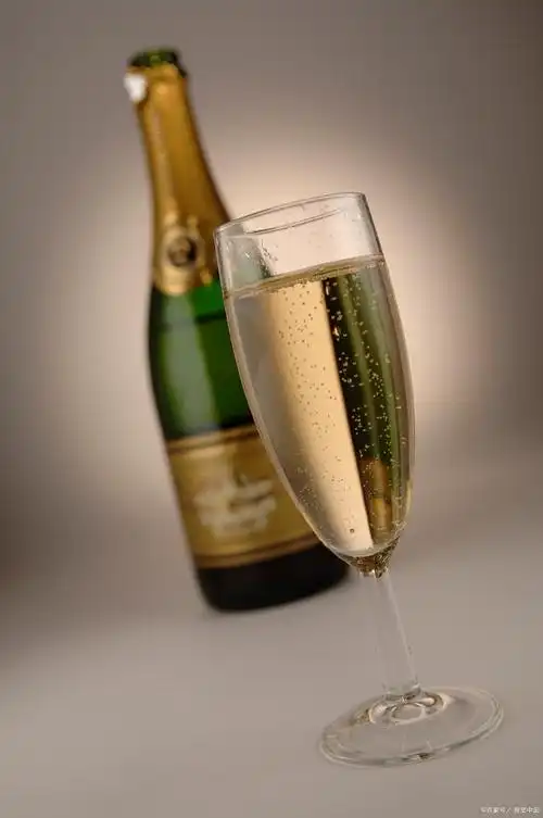 香槟酒属于什么酒